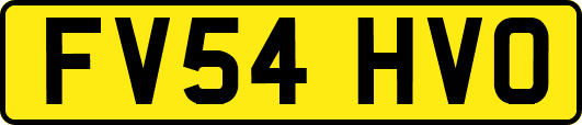 FV54HVO