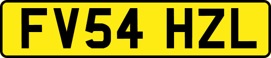 FV54HZL