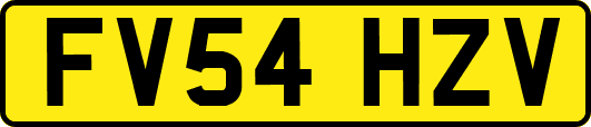 FV54HZV