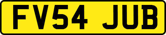 FV54JUB