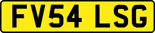 FV54LSG