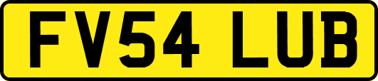 FV54LUB