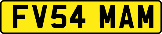 FV54MAM