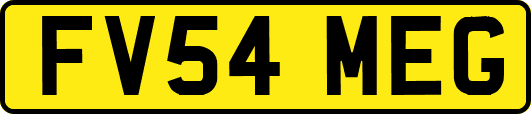 FV54MEG