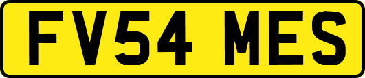 FV54MES