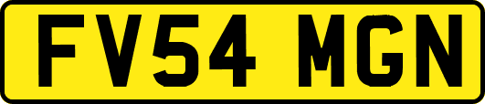 FV54MGN