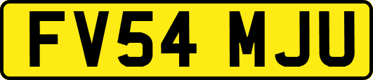 FV54MJU