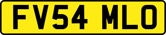 FV54MLO