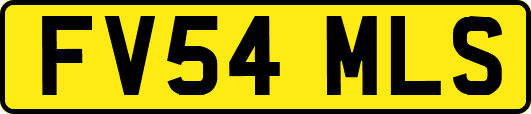 FV54MLS