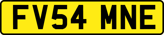 FV54MNE