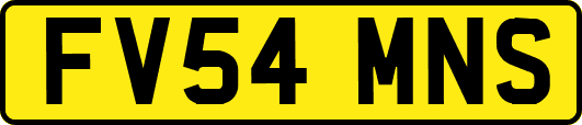 FV54MNS