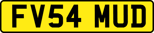 FV54MUD
