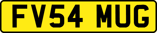FV54MUG
