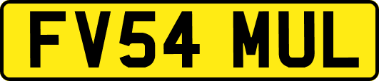 FV54MUL