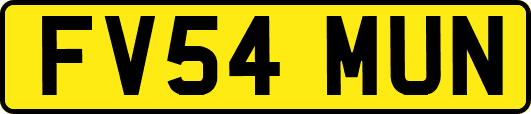 FV54MUN