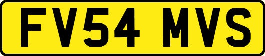 FV54MVS
