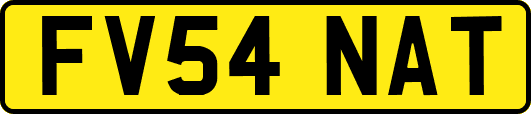 FV54NAT