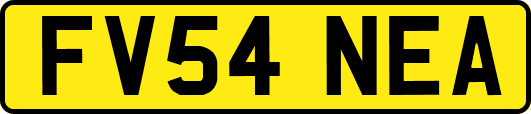 FV54NEA