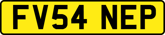 FV54NEP