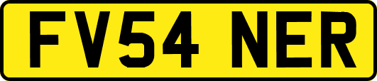 FV54NER