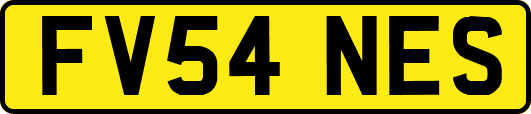 FV54NES