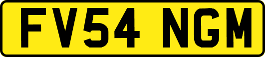 FV54NGM