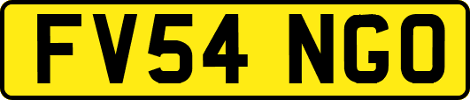 FV54NGO