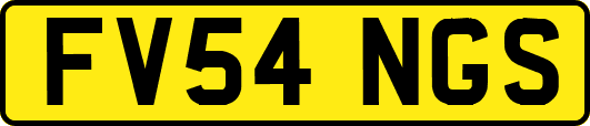 FV54NGS