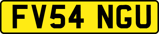 FV54NGU