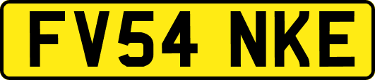 FV54NKE