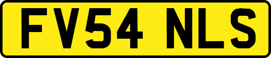 FV54NLS