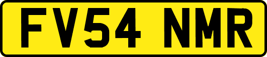 FV54NMR