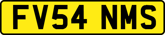 FV54NMS