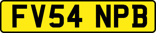 FV54NPB