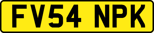 FV54NPK
