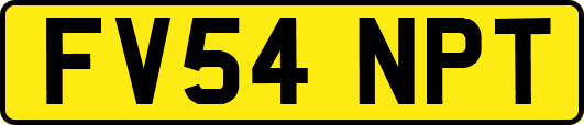 FV54NPT