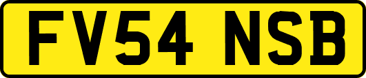 FV54NSB