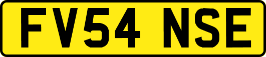 FV54NSE
