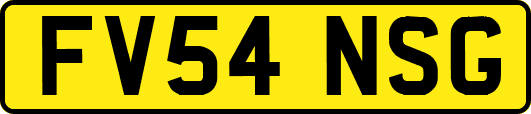 FV54NSG