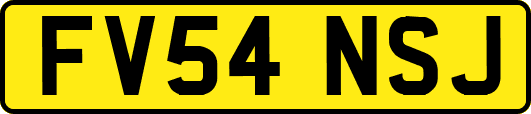 FV54NSJ