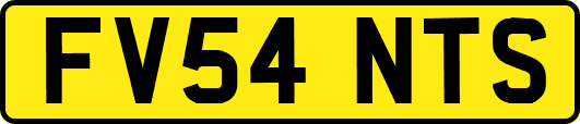 FV54NTS