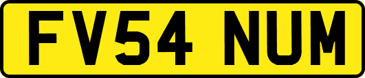 FV54NUM