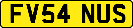 FV54NUS