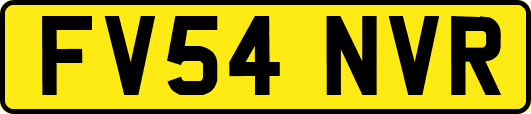 FV54NVR