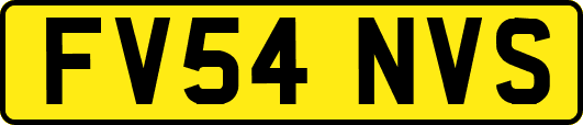 FV54NVS