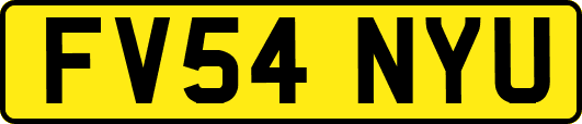 FV54NYU