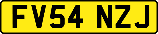 FV54NZJ