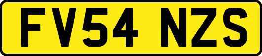 FV54NZS