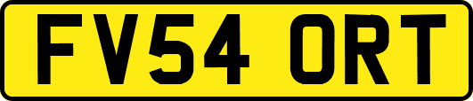 FV54ORT