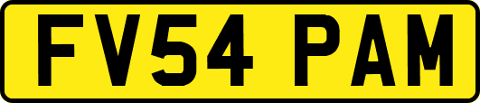 FV54PAM